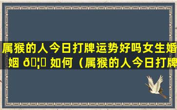 属猴的人今日打牌运势好吗女生婚姻 🦄 如何（属猴的人今日打牌运势好吗女生婚姻如何呢）